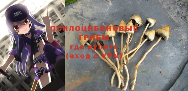 прущая мука Няндома