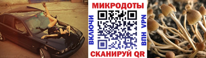 Купить где  Апатиты  Псилоцибиновые грибы MAGIC MUSHROOMS 
